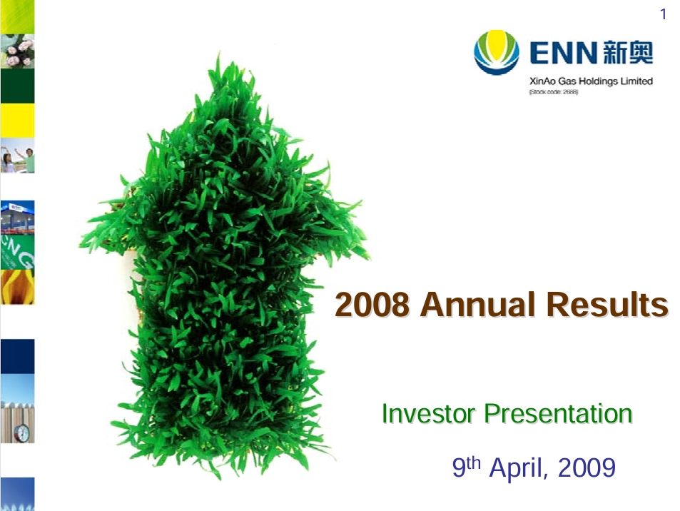2008 Annual Results